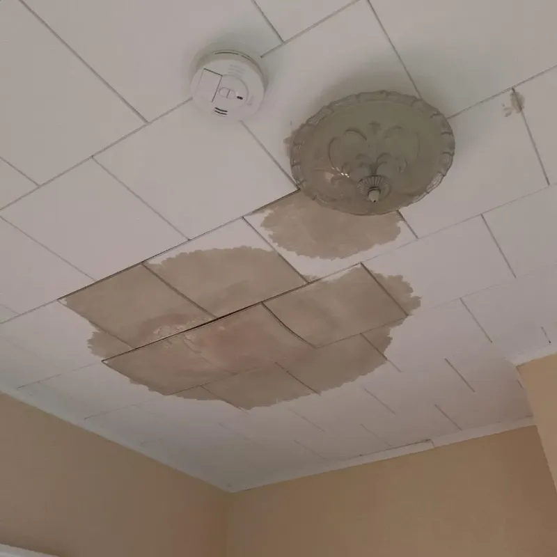 Ceiling Water Damage Repair in Summerdale, AL
